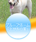 移動販売サービス
